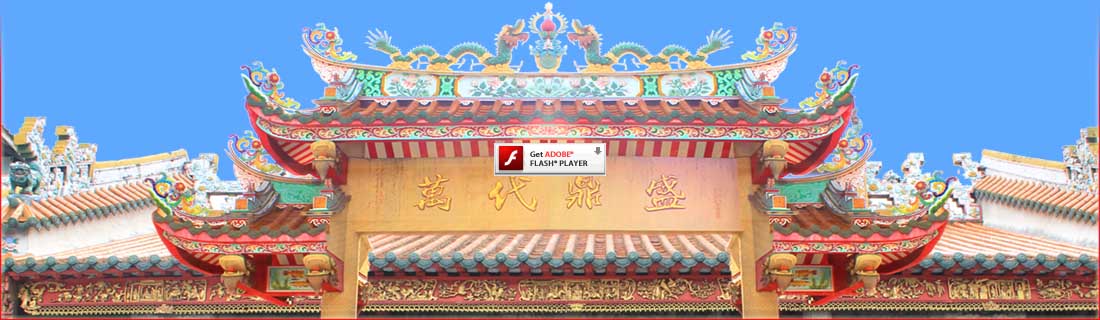 获取 Adobe Flash Player
